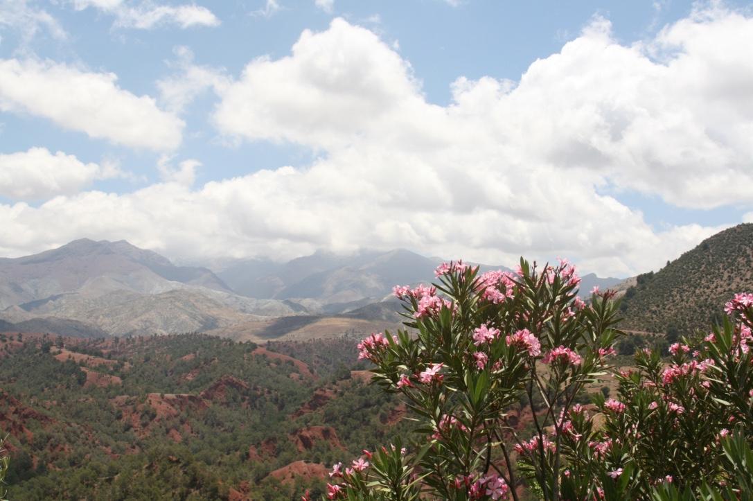 morocco atlas mountains road trip desert