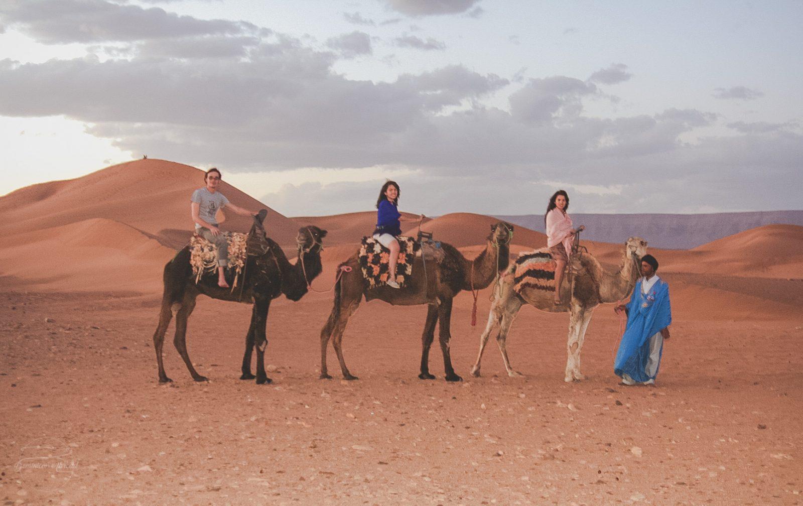 Riding Camels in the Sahara Desert