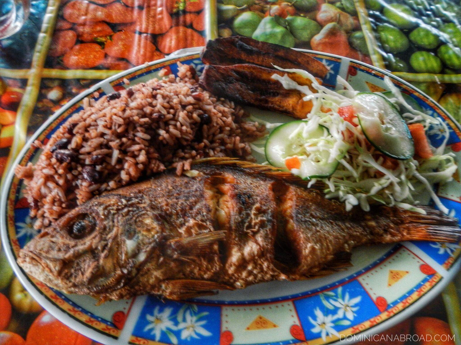 Fish, rice, and vegetables on a plate in Costa Rica.