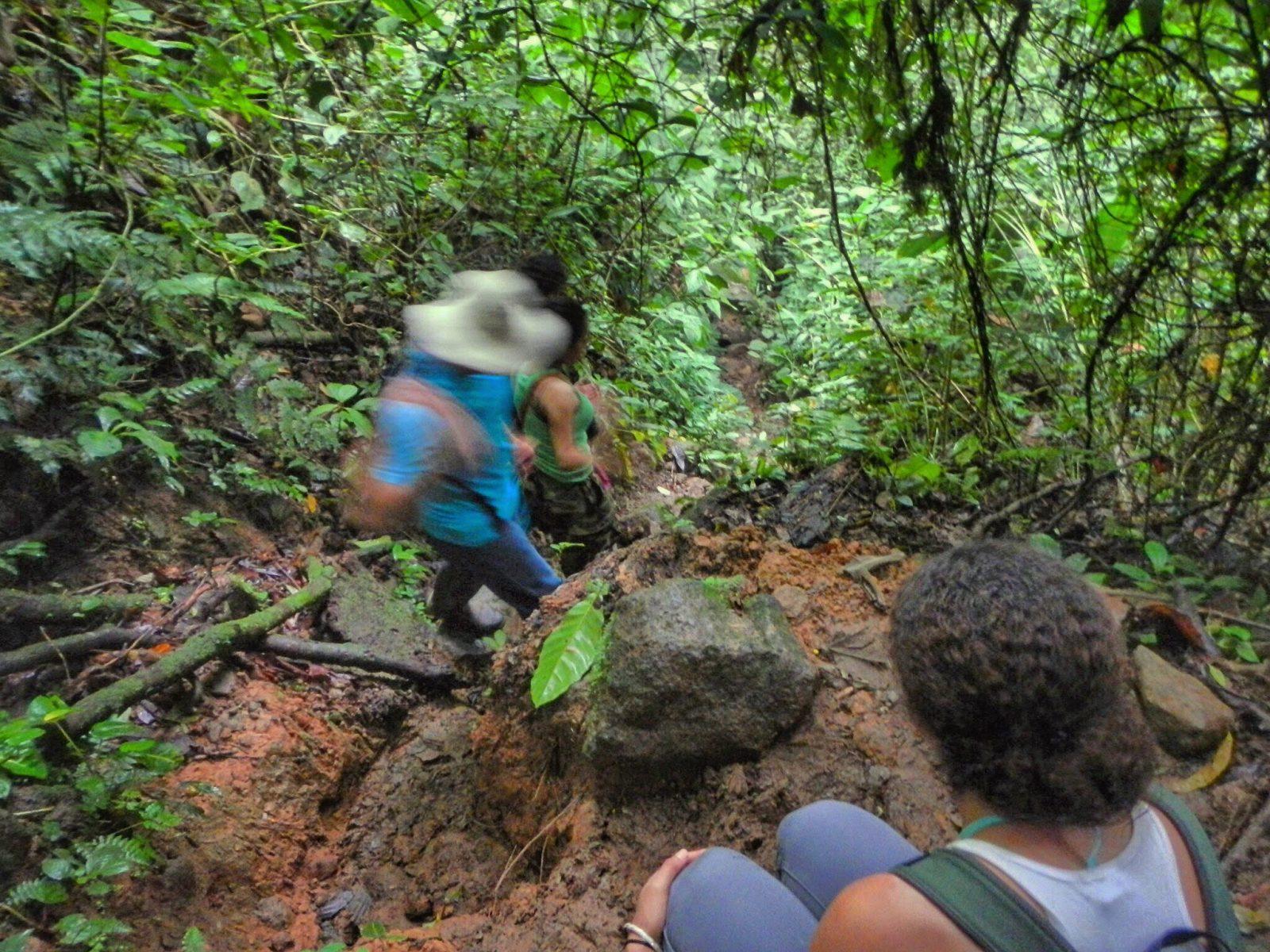 People hiking in a forest in Costa Rica.
