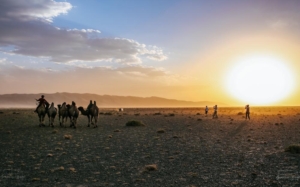 Horses and people at sunset in Mongolia travel