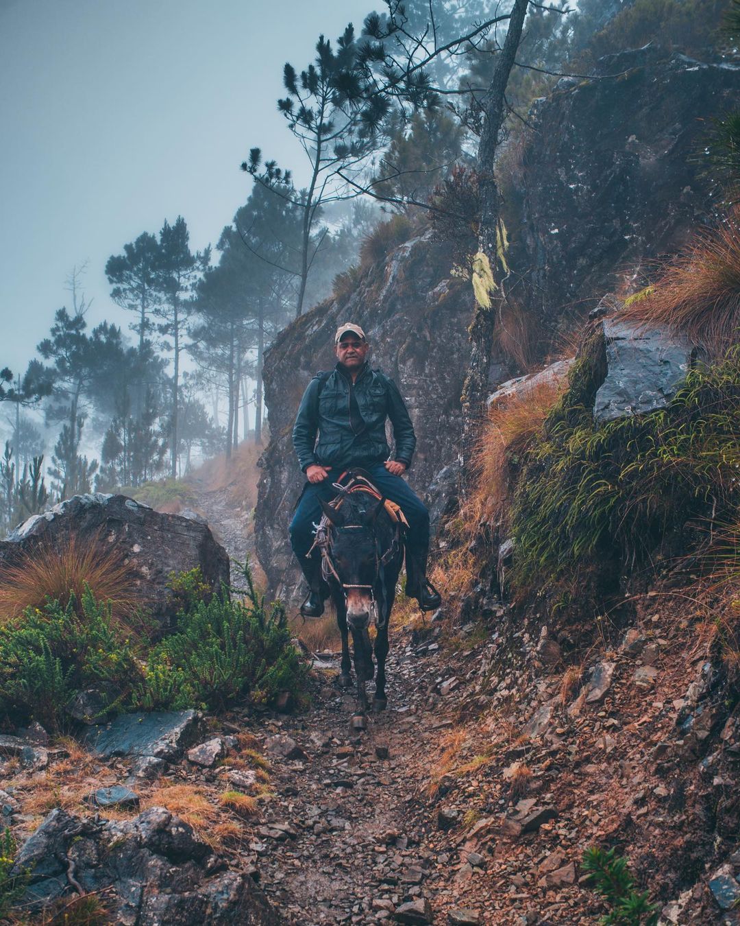 A man riding a black horse on Pico Duarte.