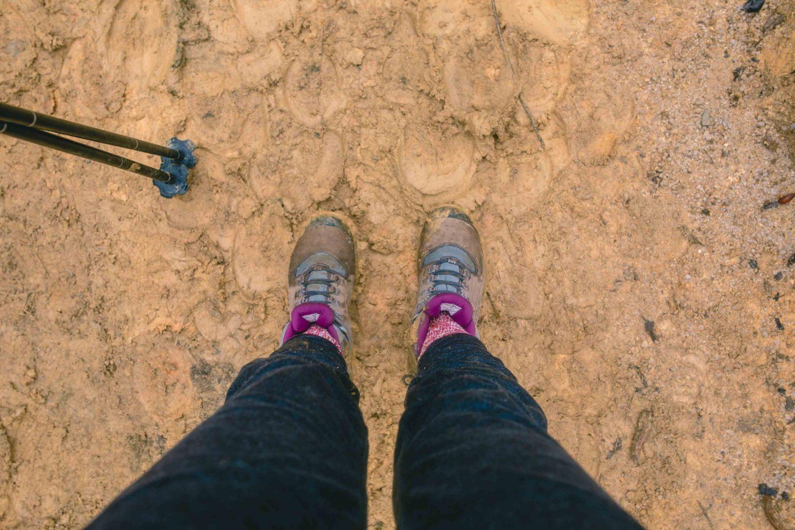 Hiking boots and hiking poles on muddy ground.