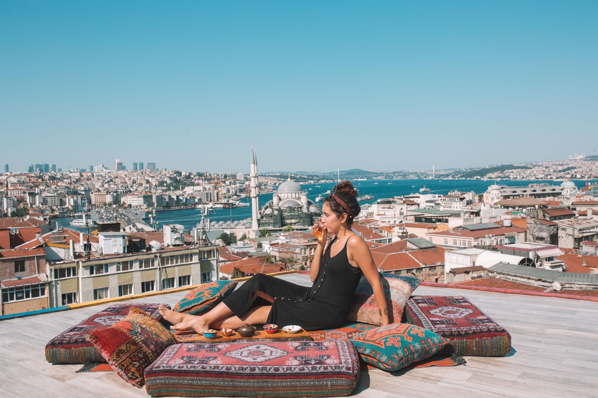istanbul rooftop with birds