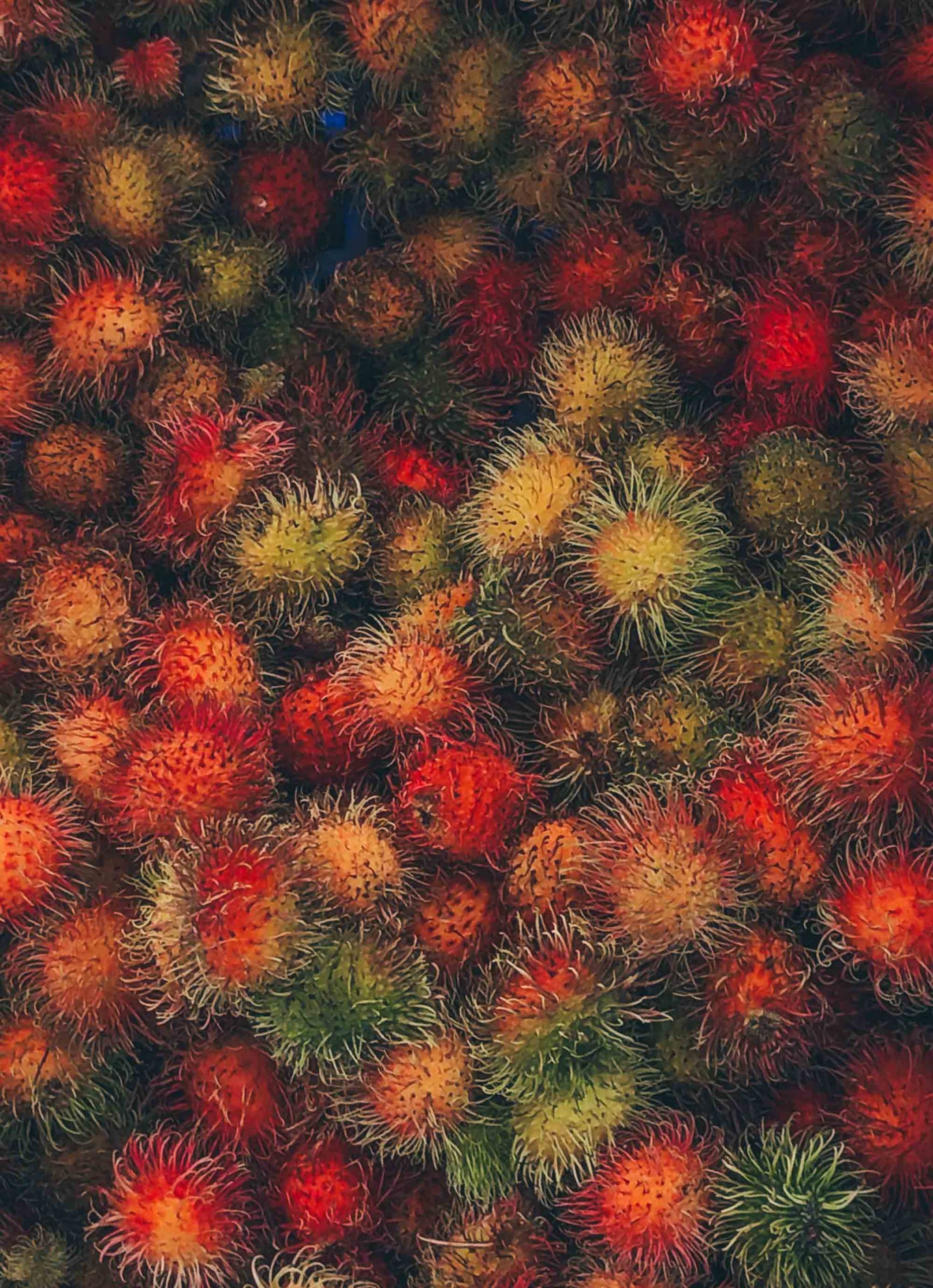 Rambutans at Sunday China Town Market in Santo Domingo.