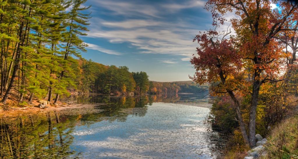 lake and foliage trees