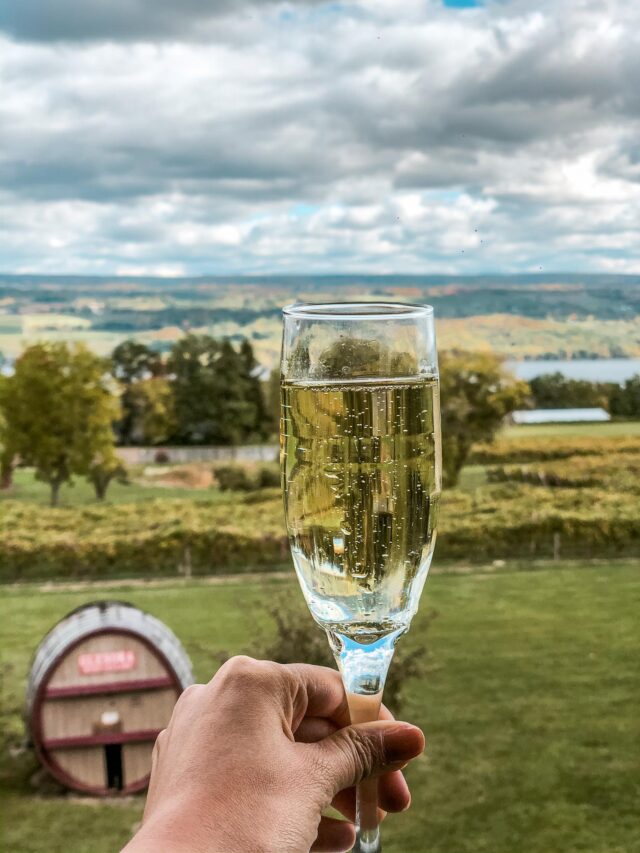 glenora veraisons wine tasting finger lakes