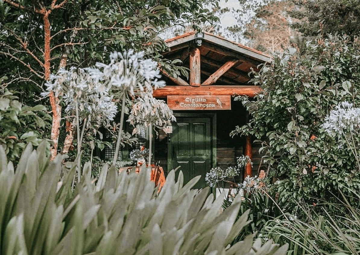 Villa Pajon Mountain Lodge cabin in the Dominican Republic.