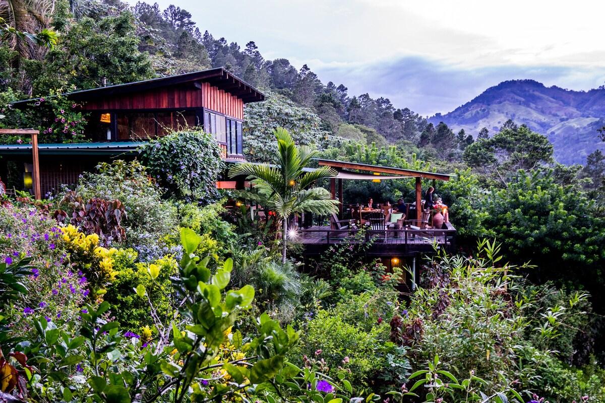 A hostel in the middle of a mountain jungle in Jarabacoa, Dominican Republic.