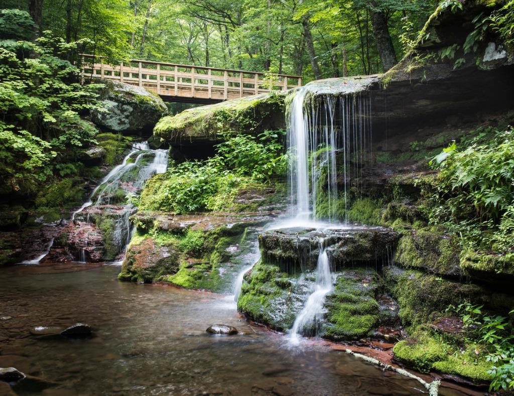Waterfalls in a mossy forest with a wooden bridge.