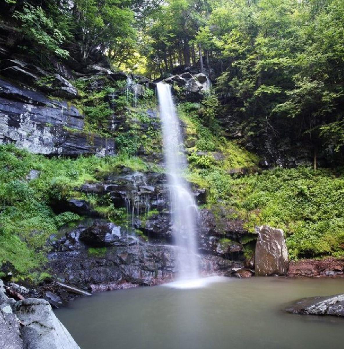 A waterfall surrounded by trees and rocks.