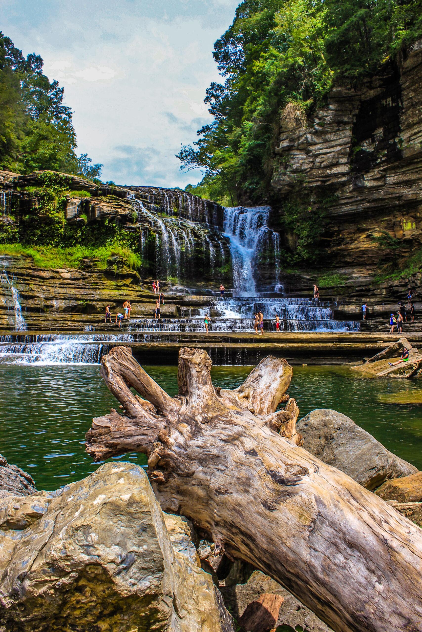 waterfall by wooden barks