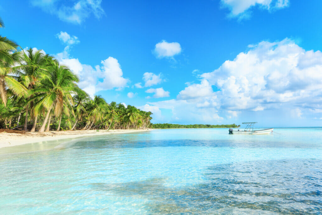 a nice beach in isla saona
