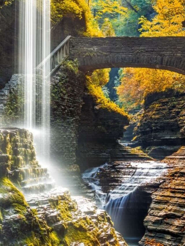 cropped-best-things-to-do-in-the-finger-lakes-vacation-1.jpeg