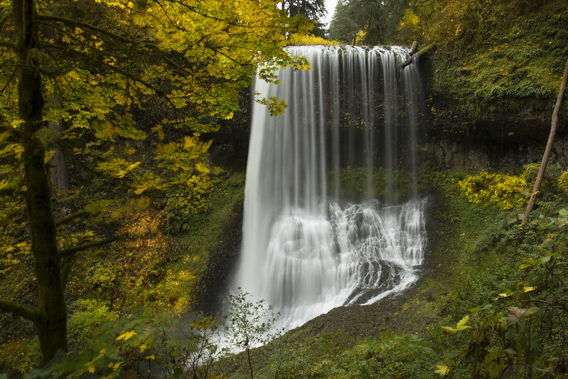 A beautiful waterfall surrounded by trees with yellow leaves.