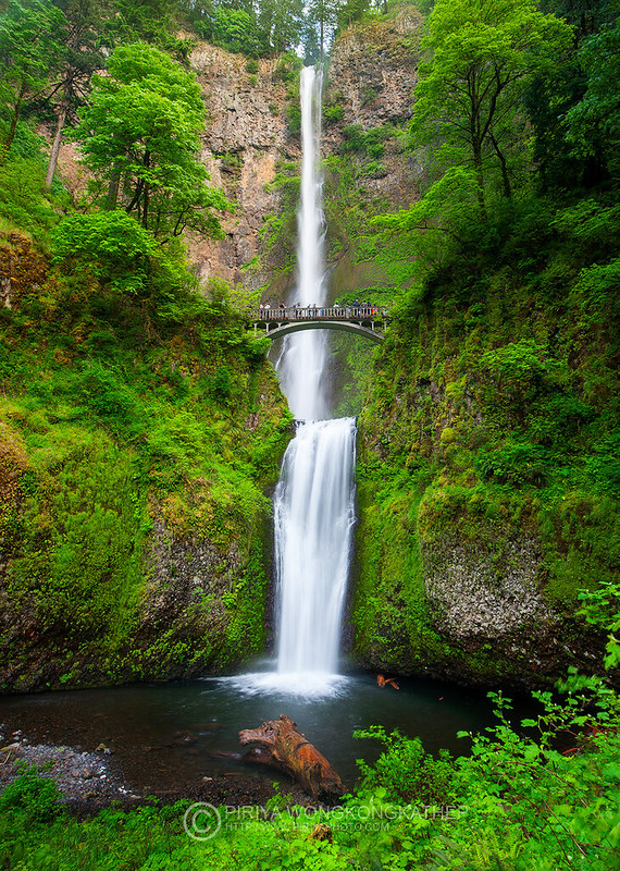 A waterfall surrounded by trees with a bridge midway.