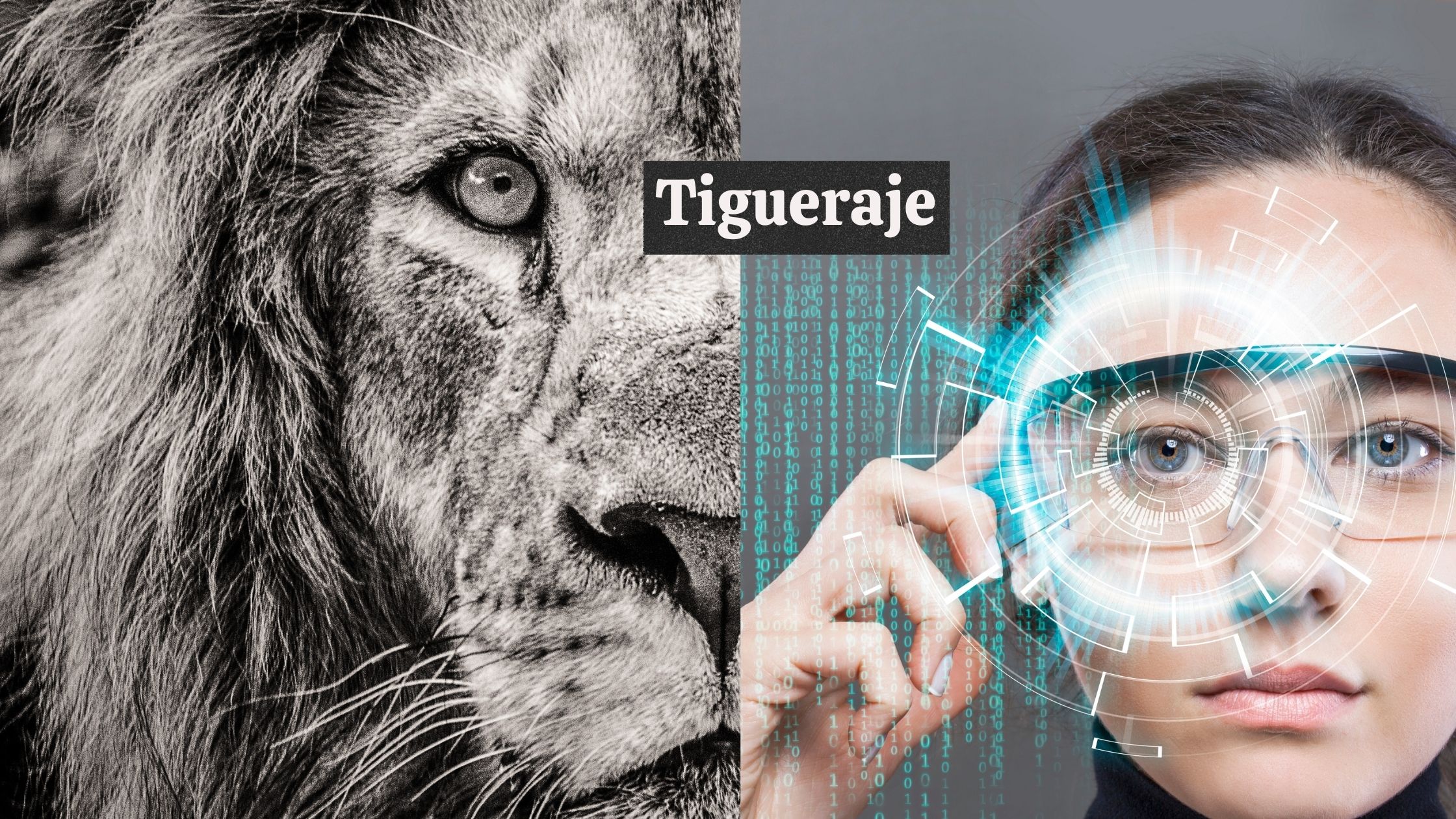 A photoset of a tiger's half face and a face of a woman wearing glasses that projects some light; "Tigueraje" text in image.