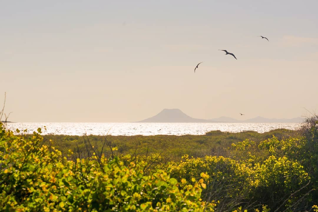 A view of a mountain and sea from one of the Cayo 7 Hermanos.