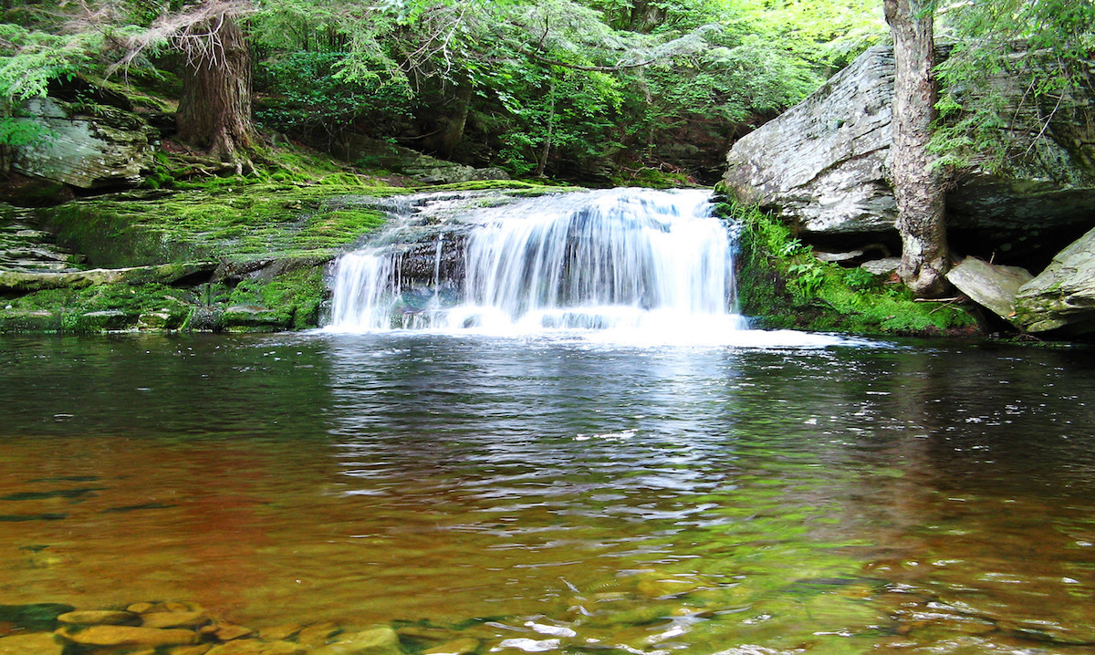 A waterfall surrounded by trees, rocks, and natural pool.