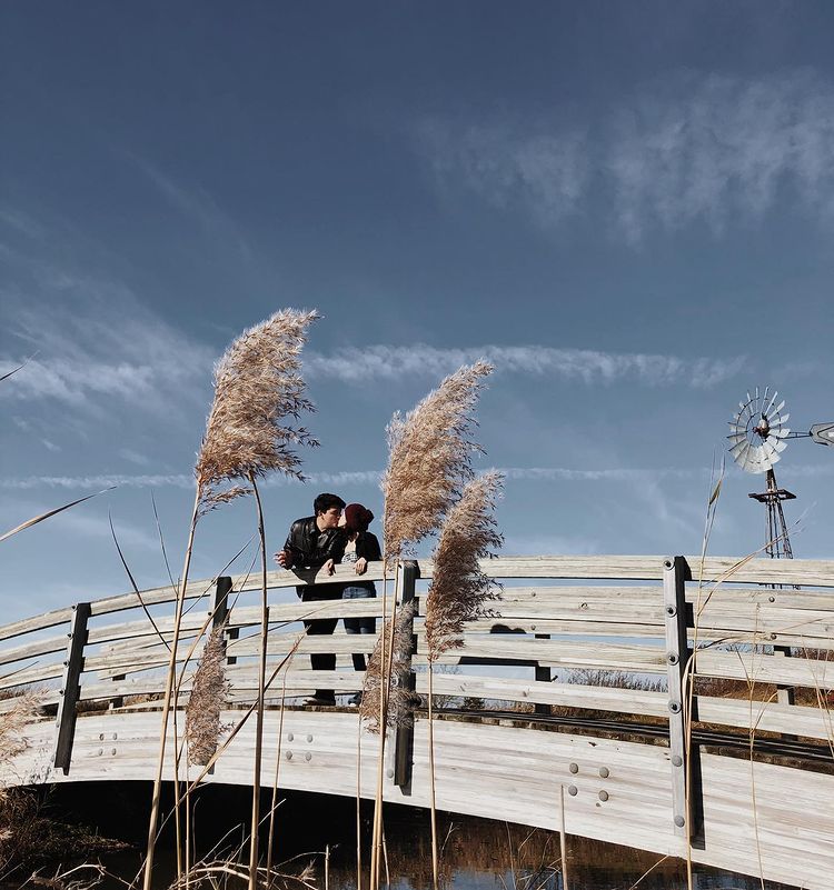 Girlfriend and boyfriend kissing at the bridge in the Park and Preserve Area. 
