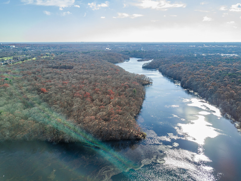 Lake and Forest from the Bird perspectiva.
