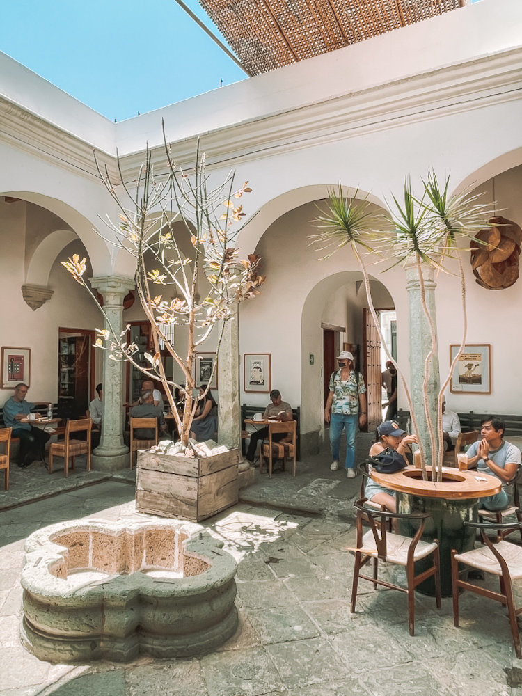 Courtyard of a cafe in Oaxaca, Mexico.