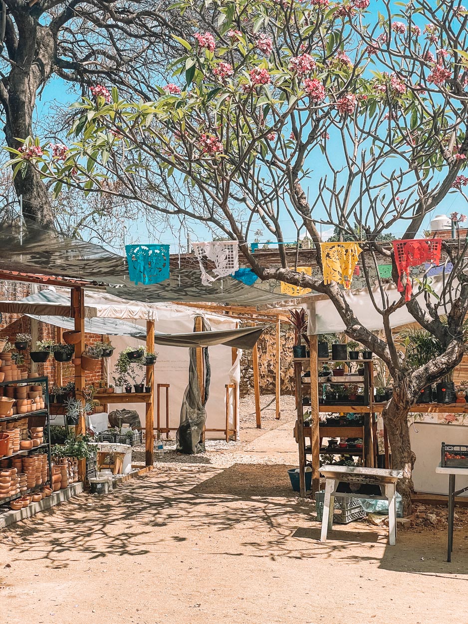 Outdoor market in Oaxaca, Mexico.