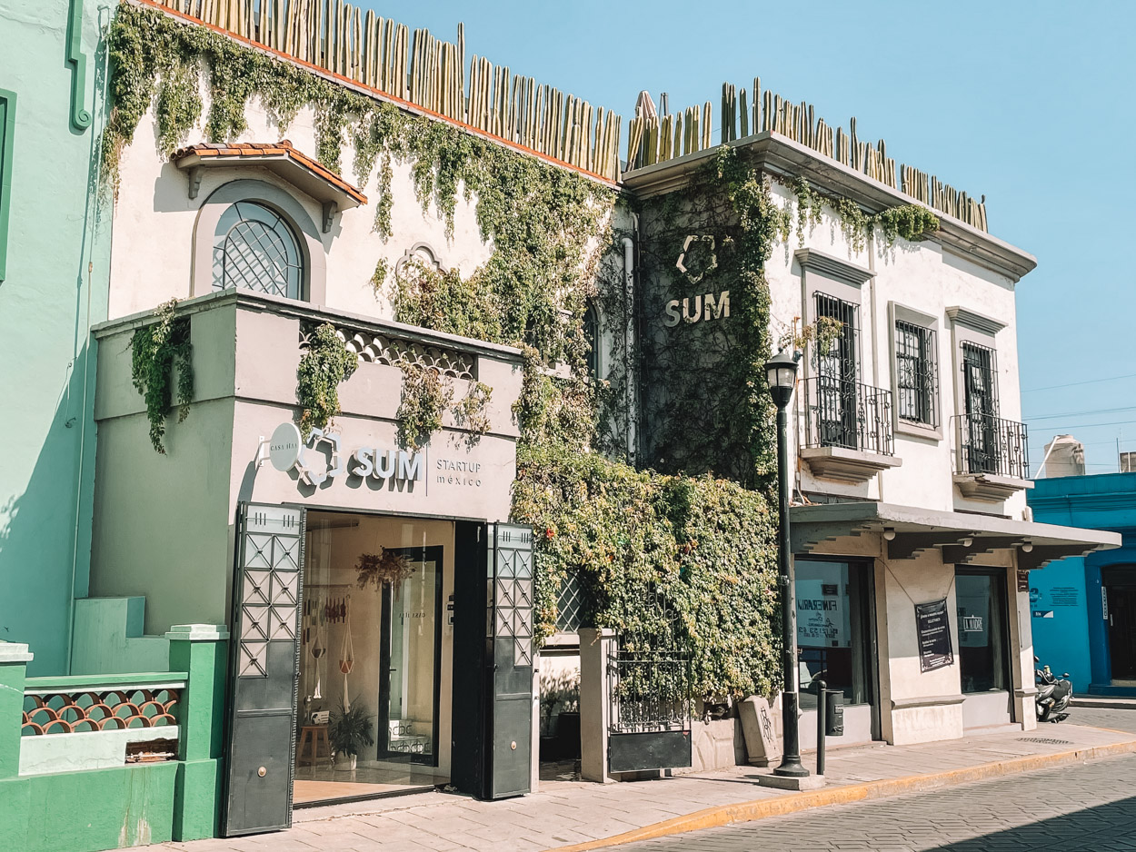 The outside of a co-working space building in Mexico, adorned with plants on the wall on a sunny day.