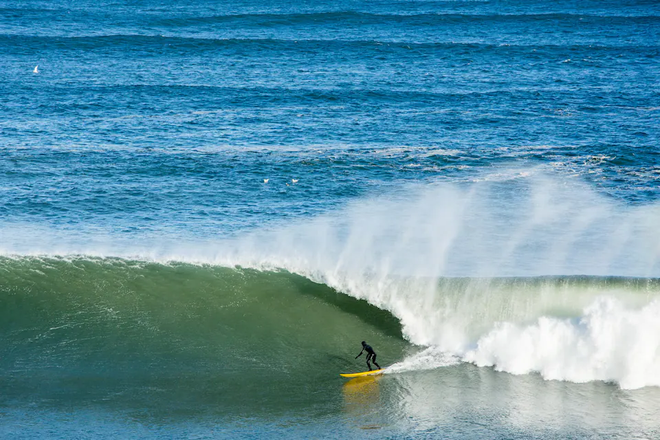 A surfer rides a wave in Montauk.
