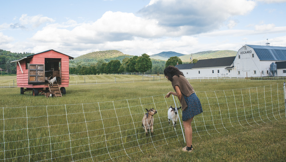 A woman interacting with goats at Asgaard Farm in Upstate New York