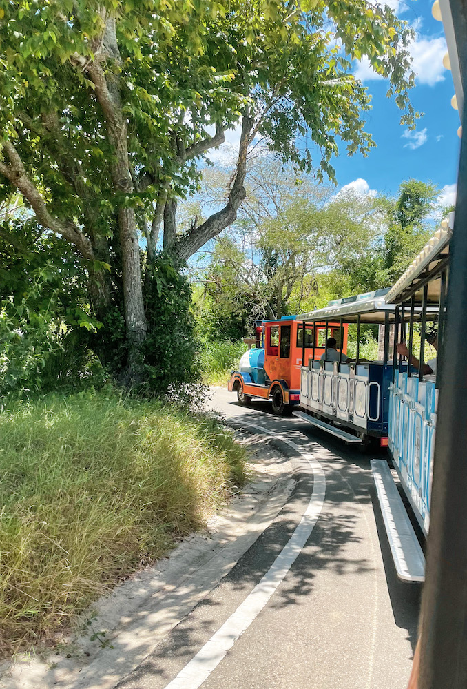 A train at Jardín Botánico de Santiago.