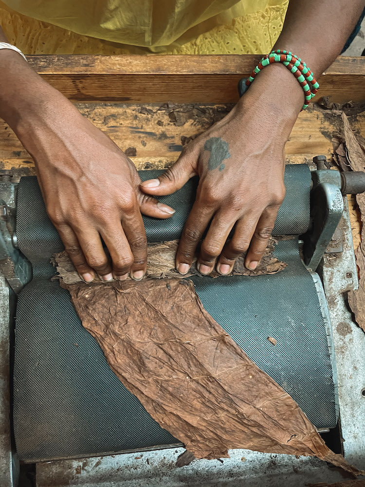 Hands creating tobacco using a machine.