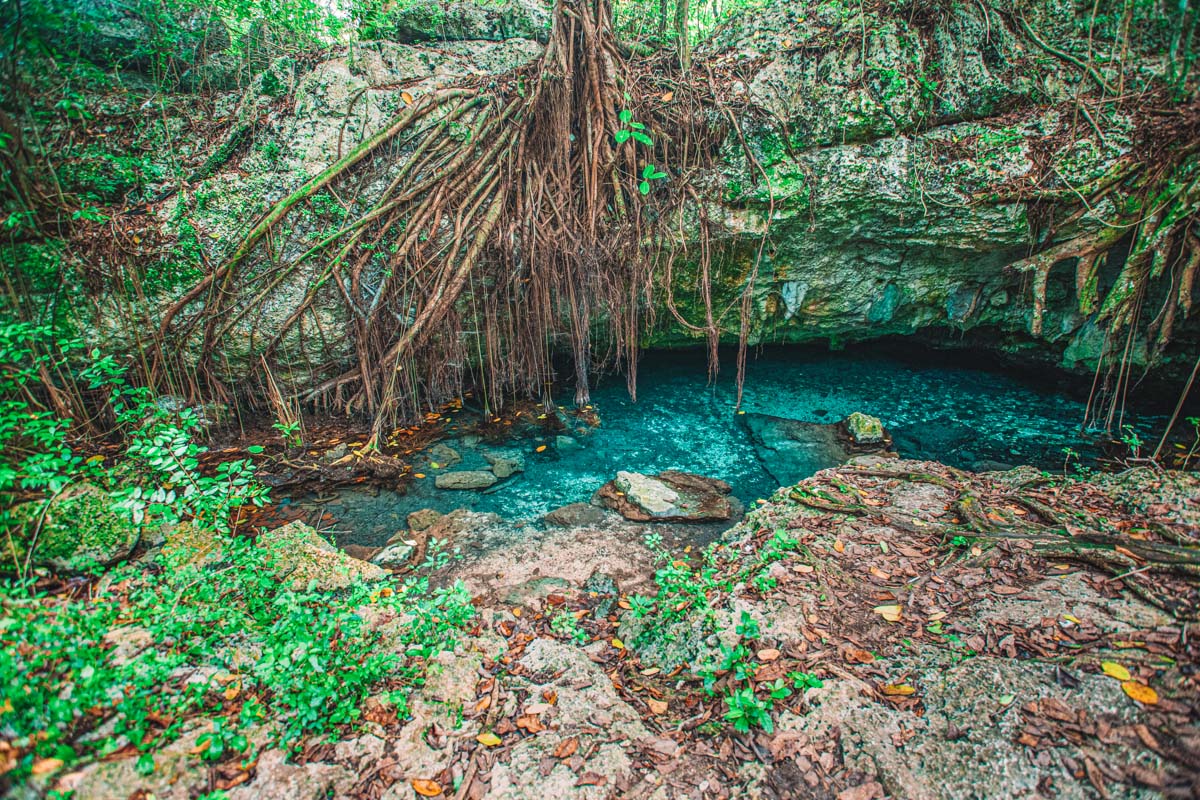 The outside of a cave at Cotubanamá National Park.