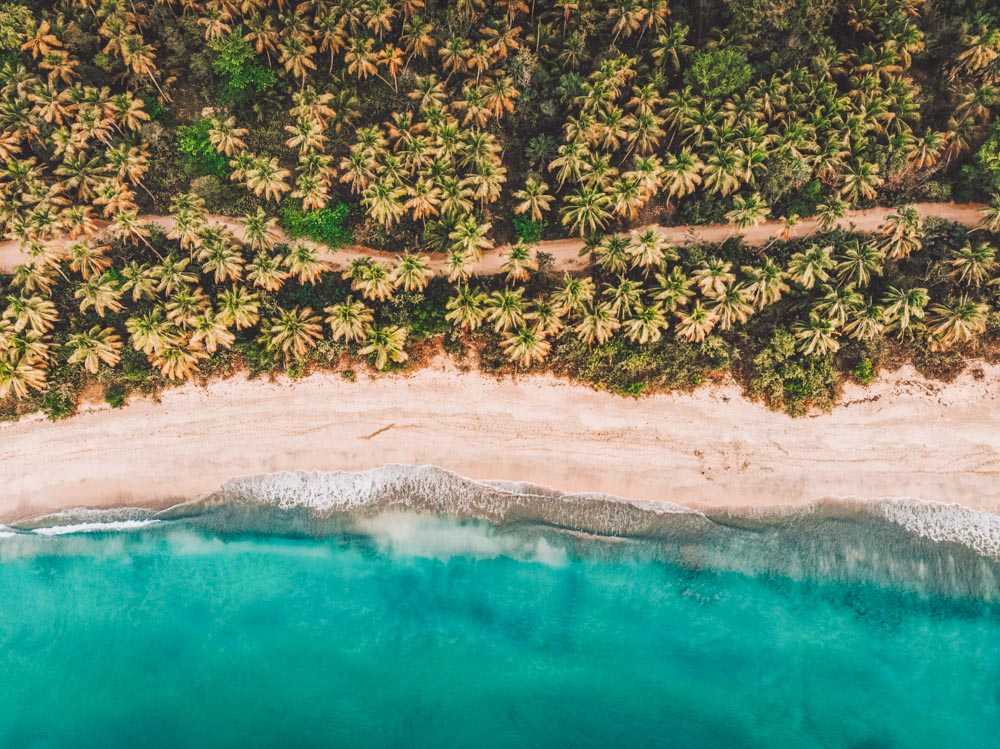 Drone shot of a beach with blue waters and palm trees.