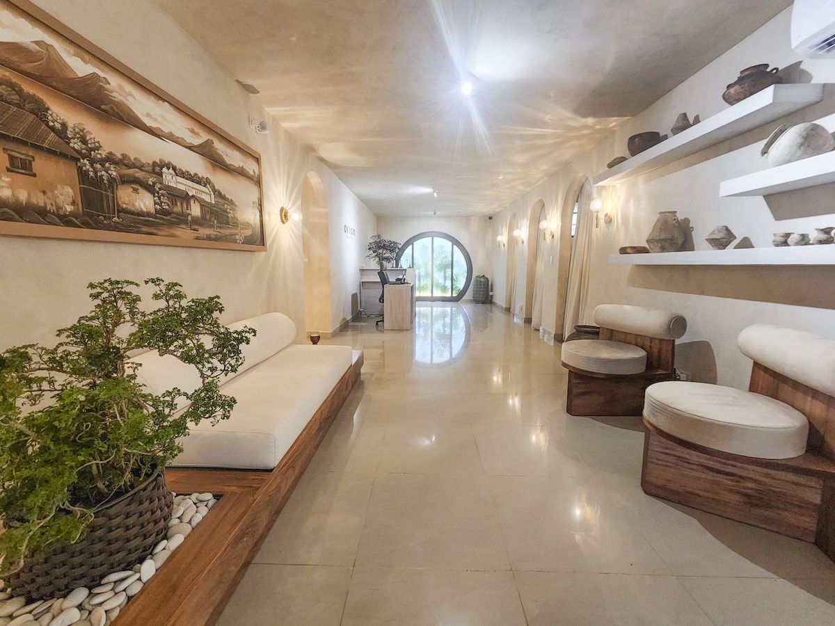 Reception area with chairs, painting, pottery, and plants at Orion Wellness Spa.
