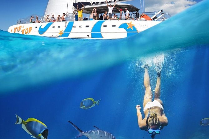 A person diving underwater and people on a catamaran boat cheering them on.