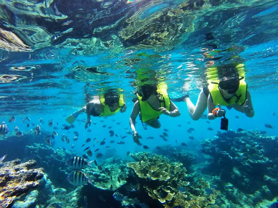 Three people snorkeling with fish at Sosua.