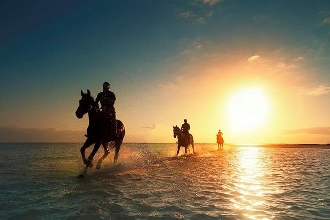 People horseback riding at the sea with the sunlight behind them.