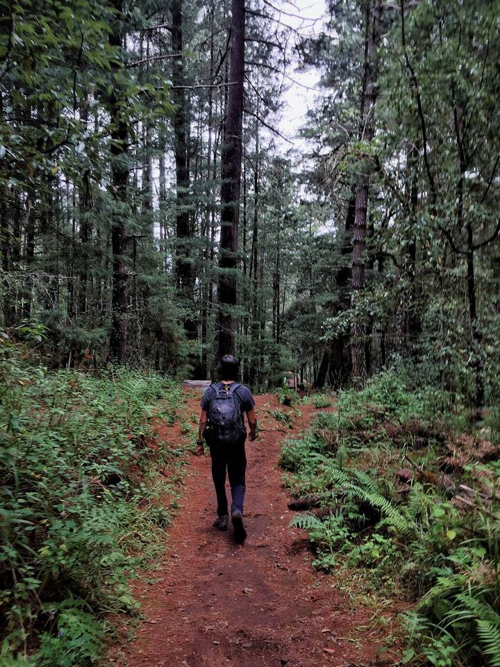A woman on a Sierra Norte Mountains hike.