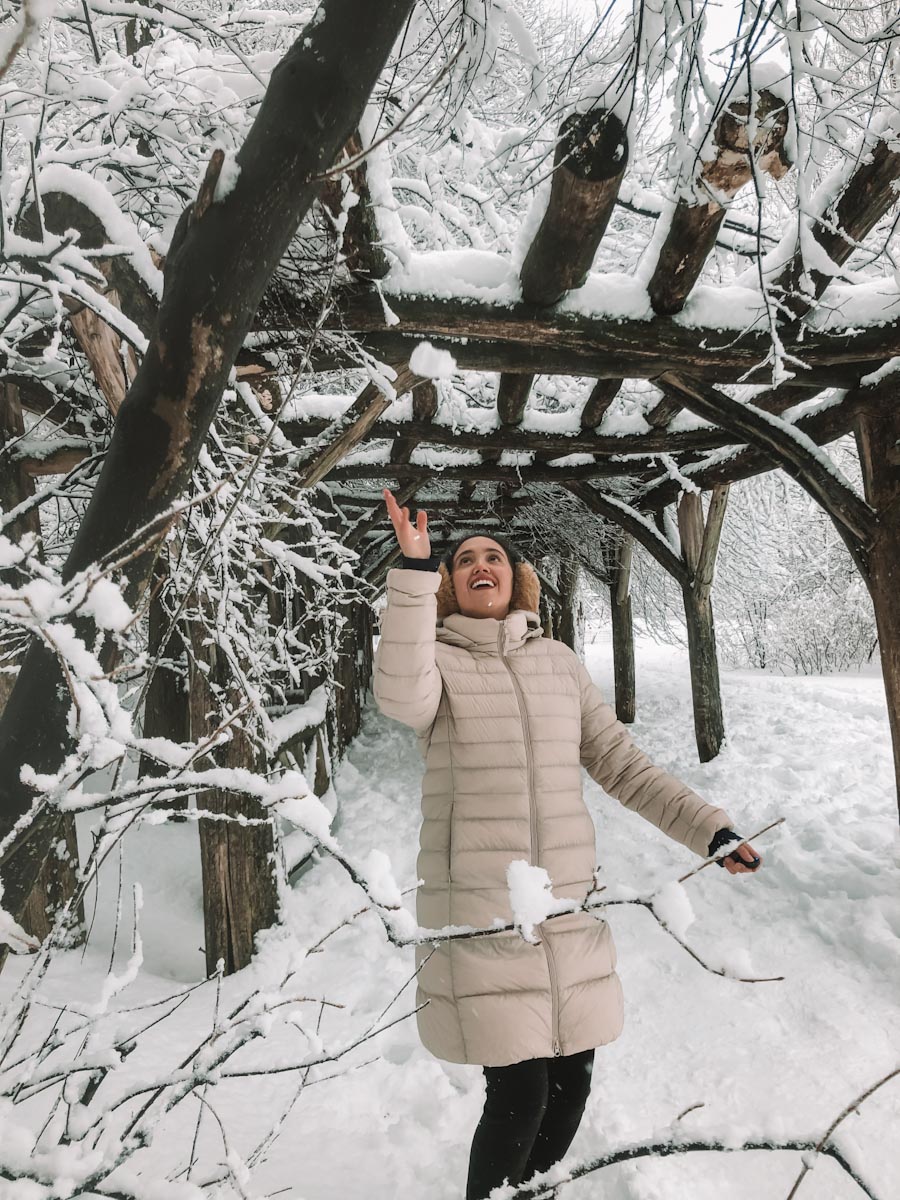 A woman looking at snow on a tree in NY