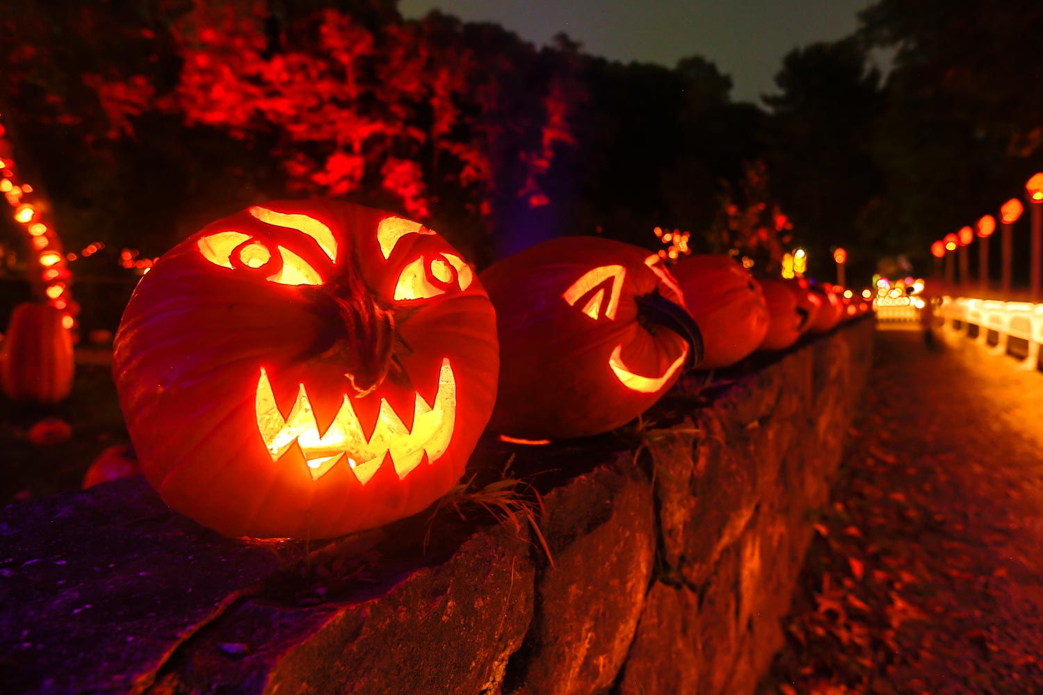 Carved pumpkin lanterns at night