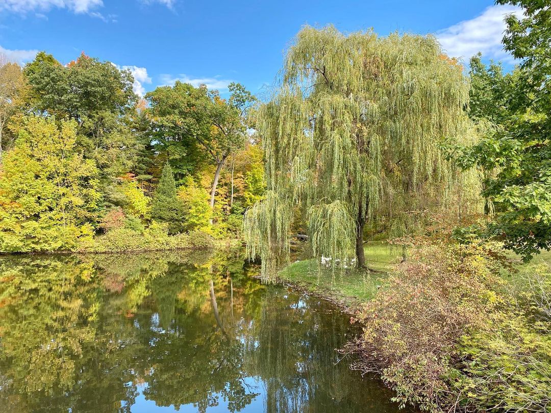 A lake surrounded by trees at Buttermilk Falls Inn & Spa, New Paltz