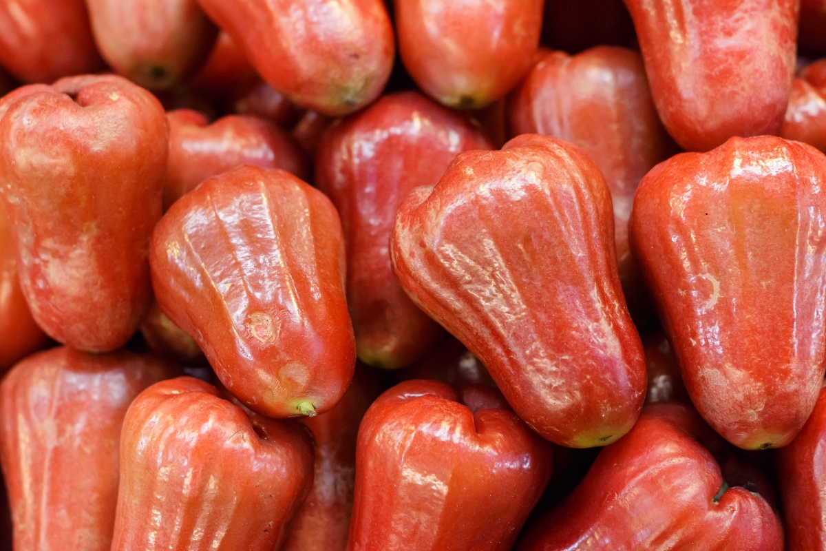 A close-up image of cajuil soliman or rose apple