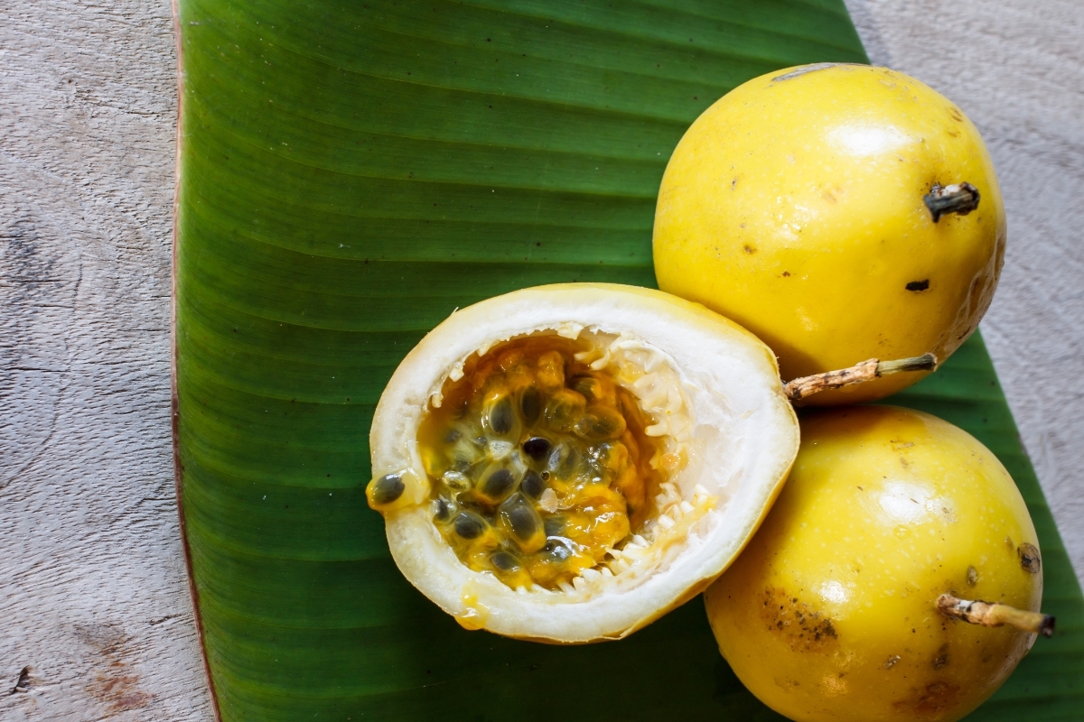 Three pieces of chinolas on a banana leaf