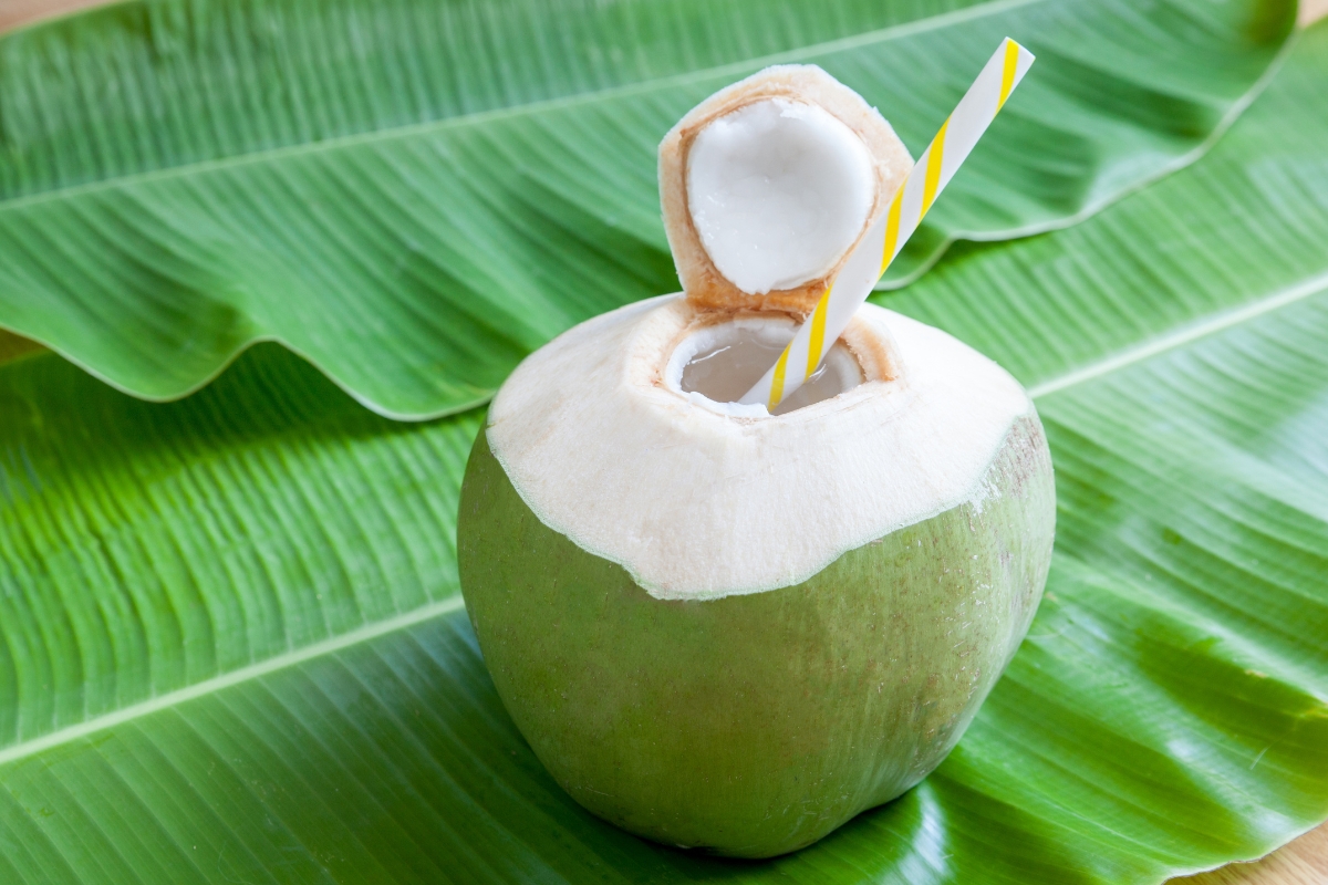 Green coconut with straw on coconut leaves
