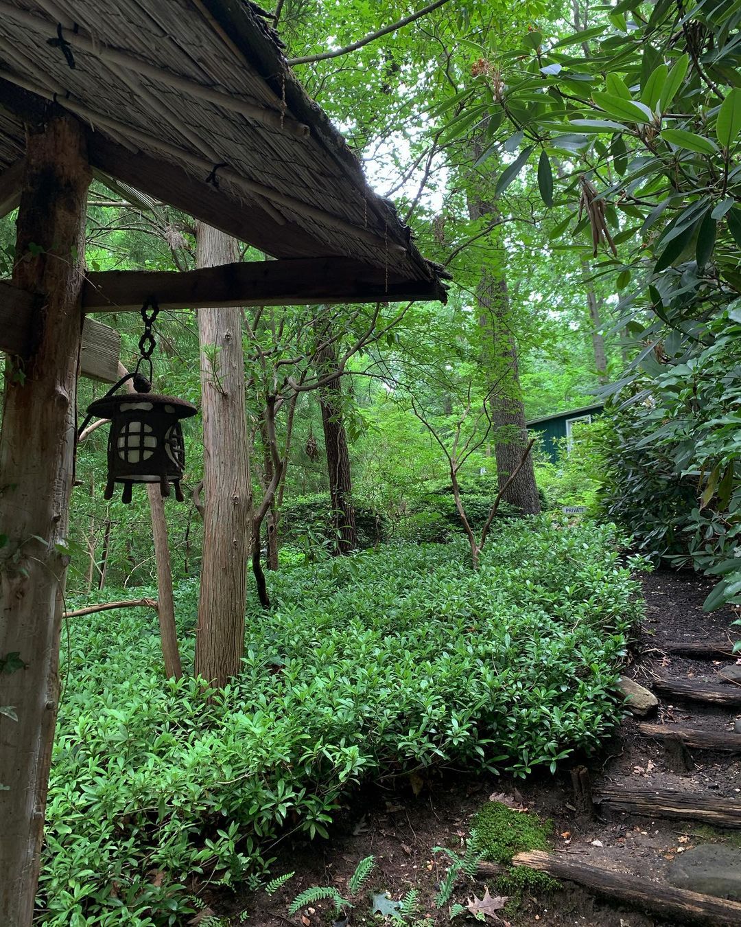 A natural staircase at Humes Japanese Stroll Garden in Oyster Bay