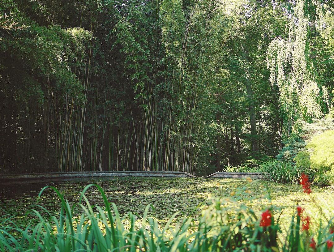 A pond in the Humes Japanese Stroll Garden in Oyster Bay