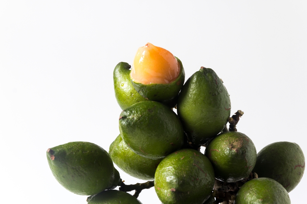 A bunch of limoncillos with shell, except for one that is half-open.