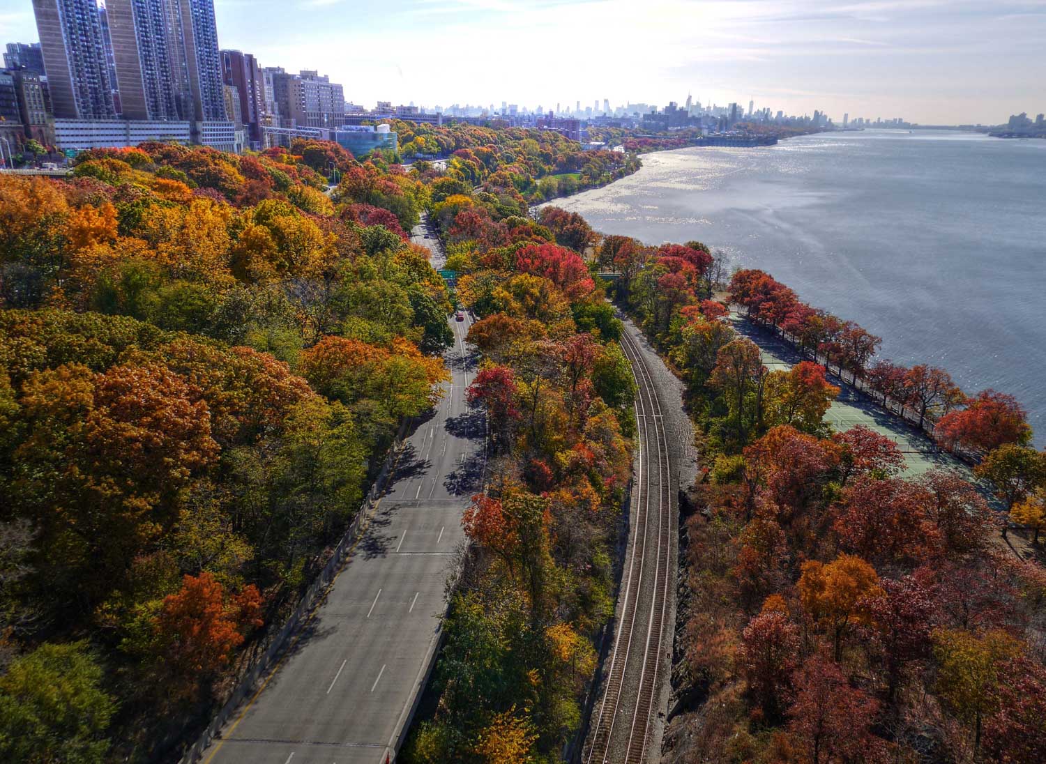 New York City fall trees and roads
