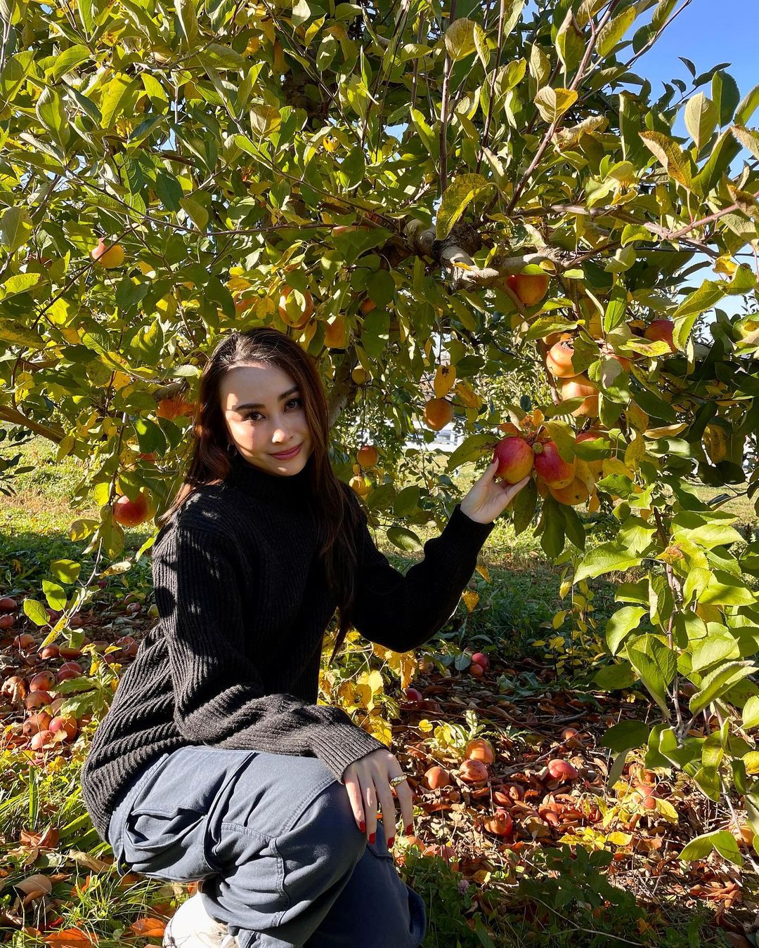 A woman apple picking in New York